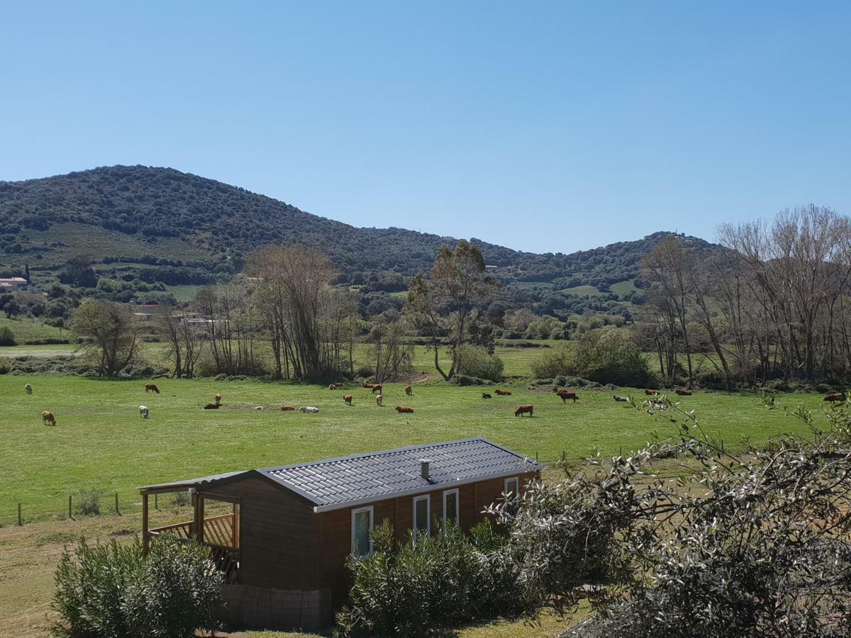 Cargèse Ferme De Chiuni 빌라 외부 사진