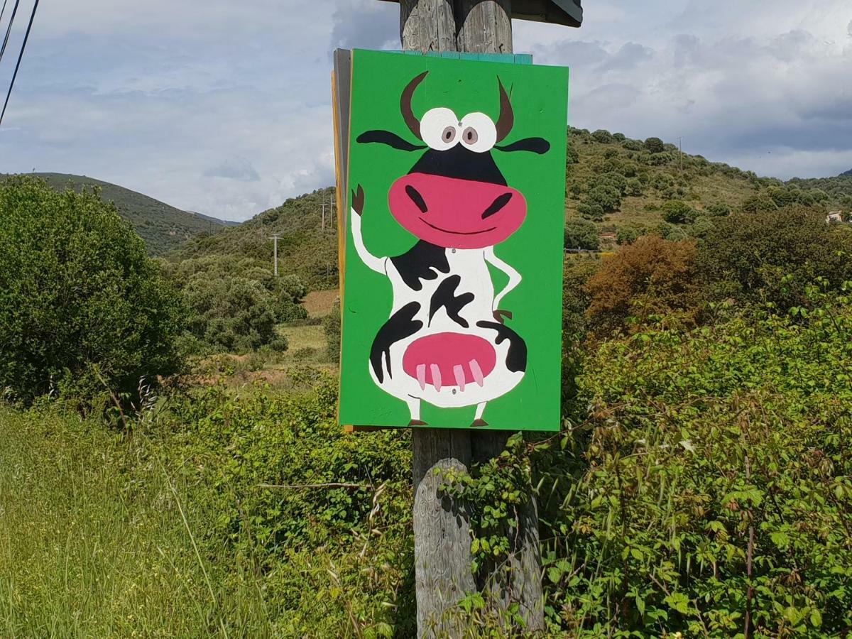 Cargèse Ferme De Chiuni 빌라 외부 사진